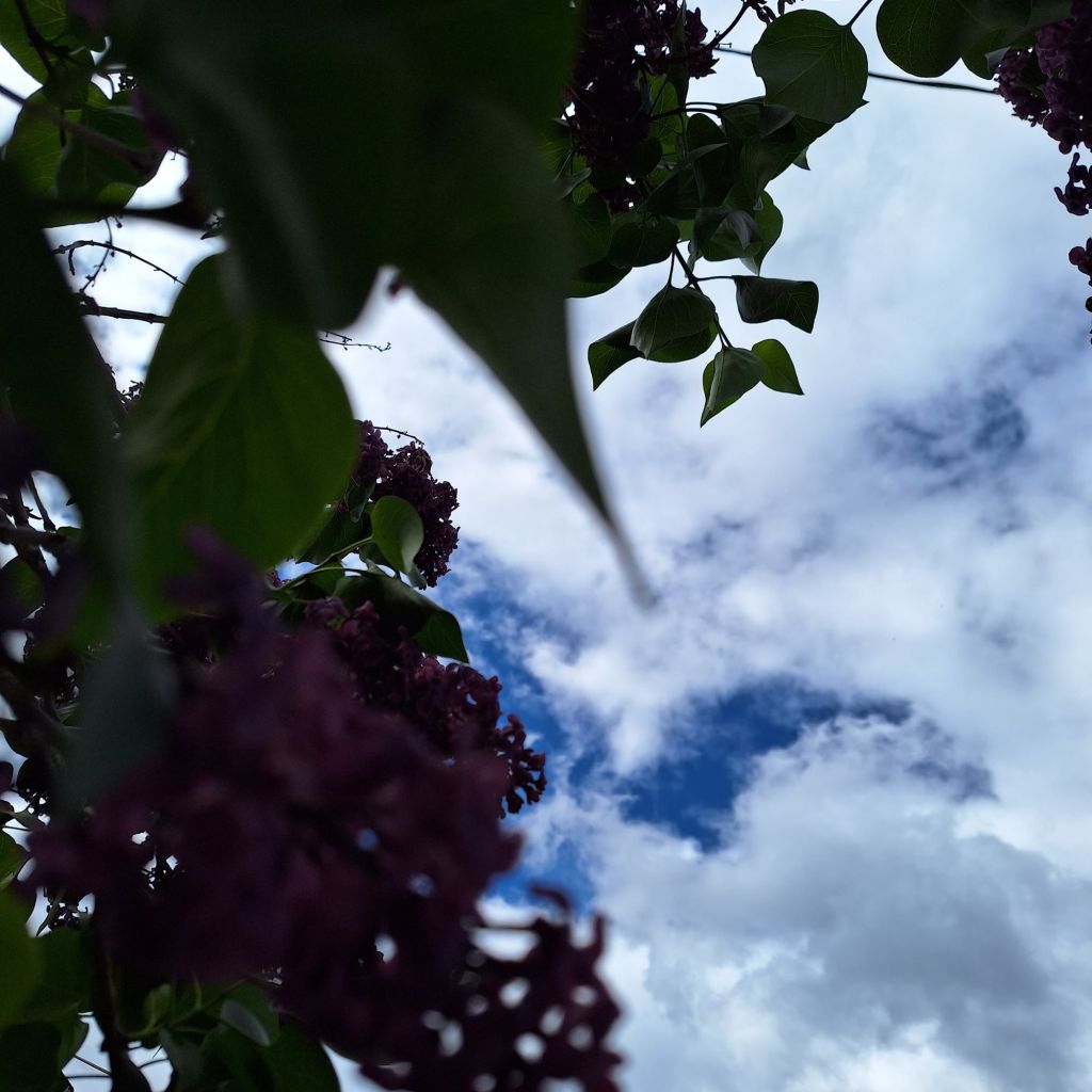 img_20240324_070005_8848735290333703009260