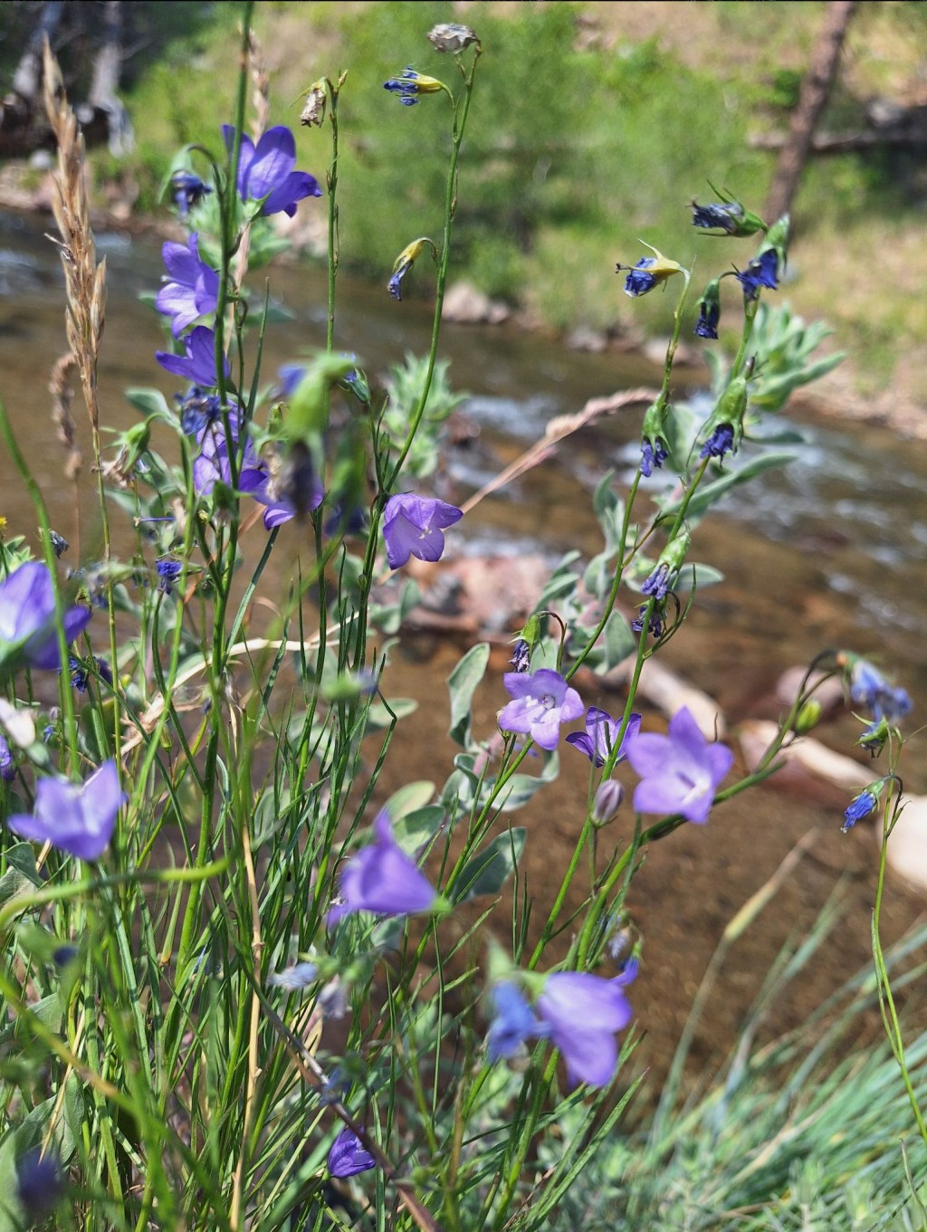 Embrace a Self-Care Summer: 10 Goals for a Healthier, Happier&nbsp;You