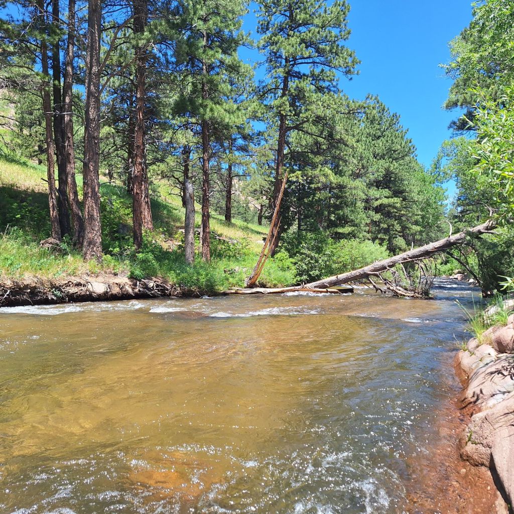 The Caretaker No One Takes Care Of