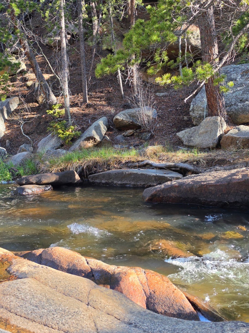 Where the River Quiets Everything&nbsp;Else